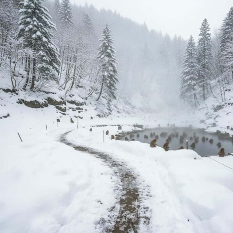 The White Alps Route: Private Nagano Escape from Tokyo - The Sum Up