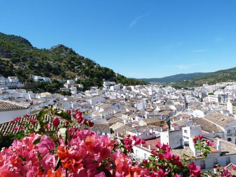 the-white-towns-of-andalusia-private-day-trip-from-cadiz