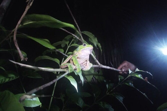 the-wild-adventure-4-days-green-wild-amazon-expedition