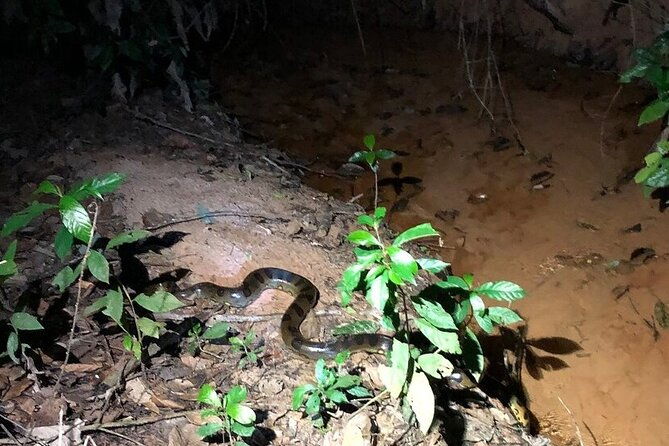 the-wild-adventure-4-days-green-wild-amazon-expedition