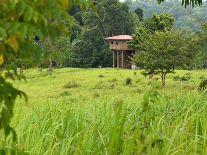 The Wilds: Khao Yai Trekking and Stargazing 2-Day Tour - Final Thoughts