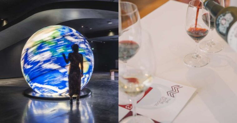 the-wine-experience-personalised-tasting-wow-pack