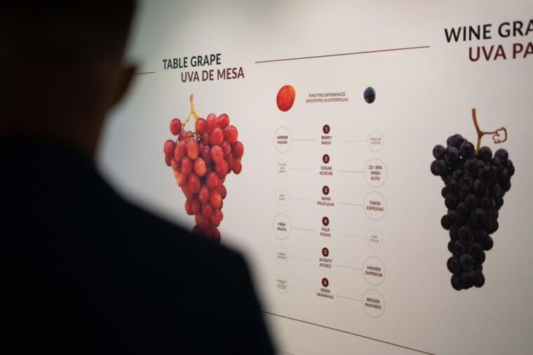 the-wine-experience-personalised-tasting-wow-pack