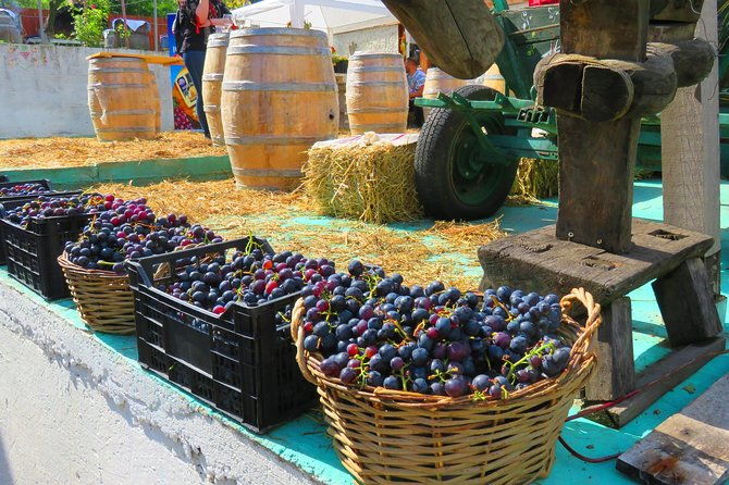 the-wine-route-by-bike