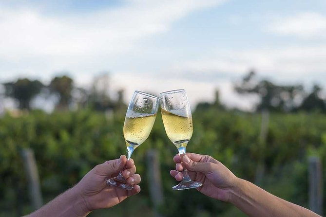 the-wine-route-from-san-juan