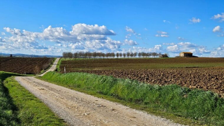 the-winedering-bike-private-bike-tour-wine-tasting