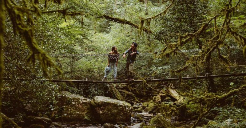 the-wonders-of-arifat-a-journey-to-the-enchanted-waterfall