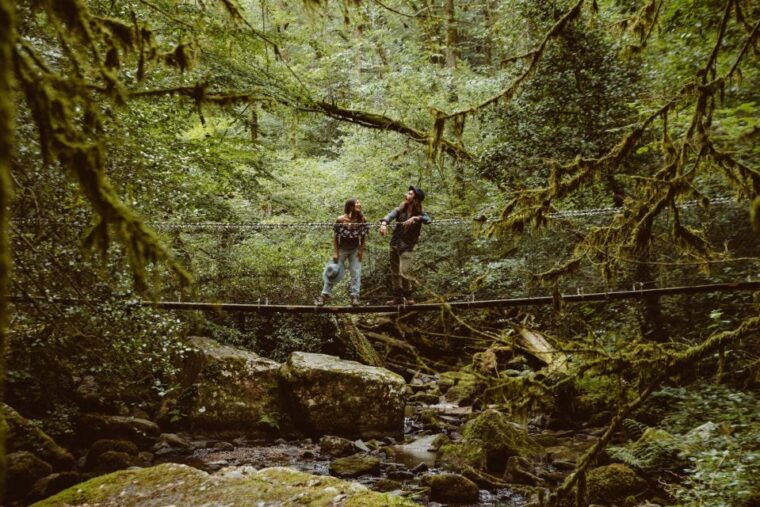 the-wonders-of-arifat-a-journey-to-the-enchanted-waterfall