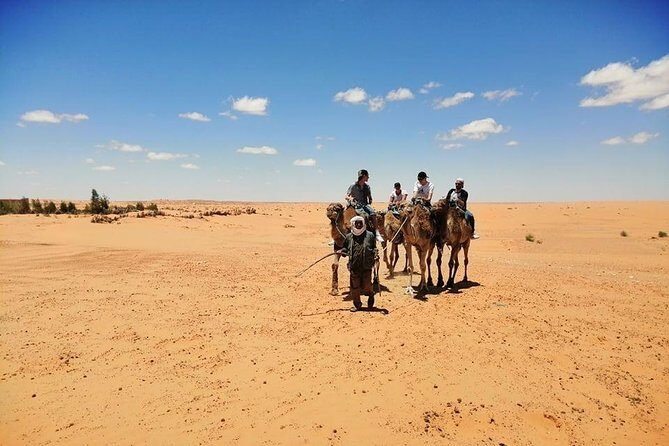 The Wonders of Tunisia: 8 days / 7 nights - Who Will Love This Tour?