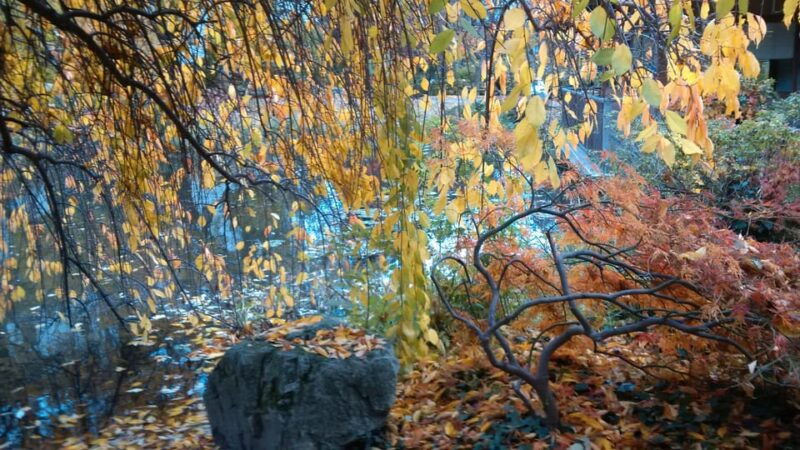 the-wonders-of-vienna-in-a-full-day-private-car-tour