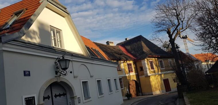 the-wonders-of-vienna-in-a-full-day-private-car-tour