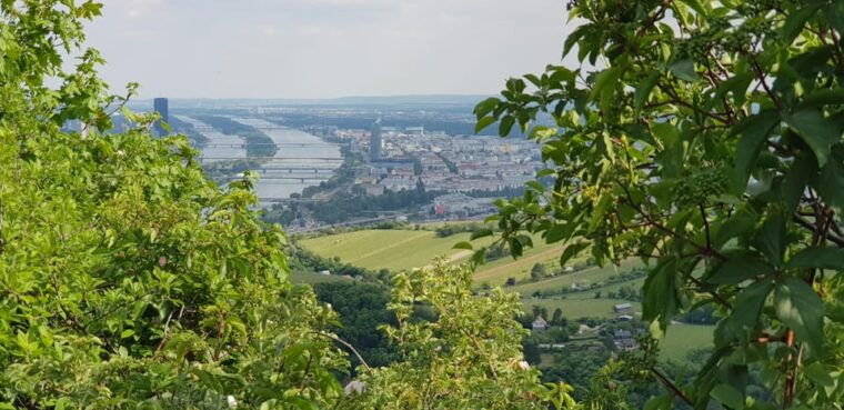 the-wonders-of-vienna-in-a-full-day-private-car-tour