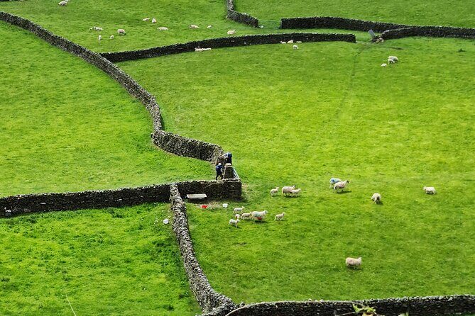 The Yorkshire Dales of All Creatures Great & Small - Who Should Book This Tour?