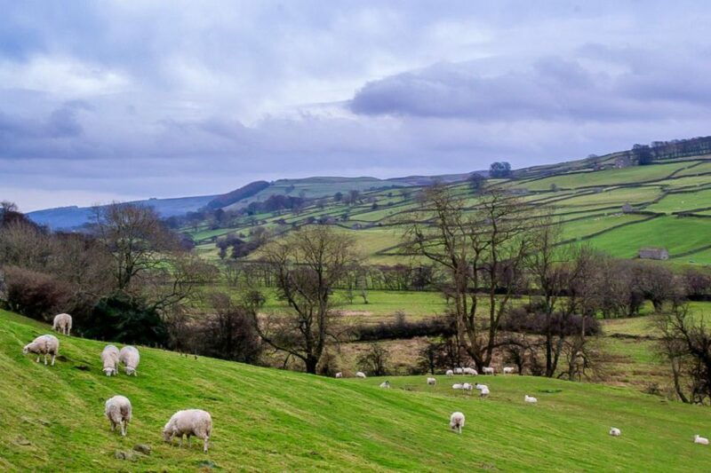 the-yorkshire-dales-tour-from-york