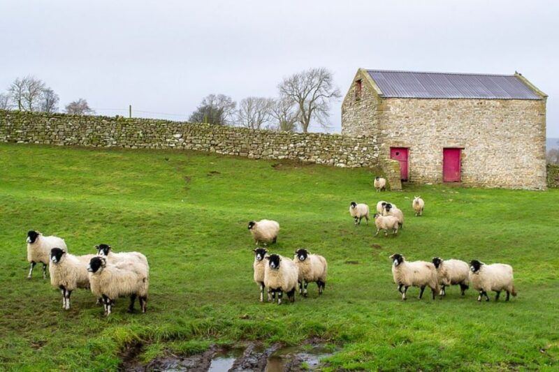 the-yorkshire-dales-tour-from-york