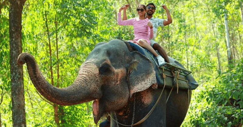 theactivity-that-won-the-best-tourist-attraction-in-srilanka