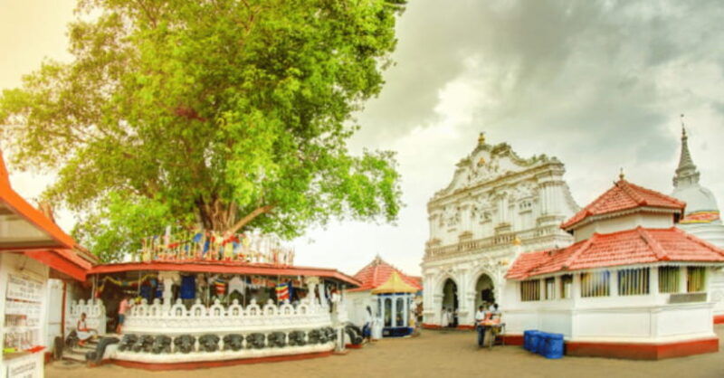 theactivity-that-won-the-best-tourist-attraction-in-srilanka