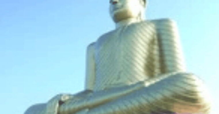 theactivity-that-won-the-best-tourist-attraction-in-srilanka