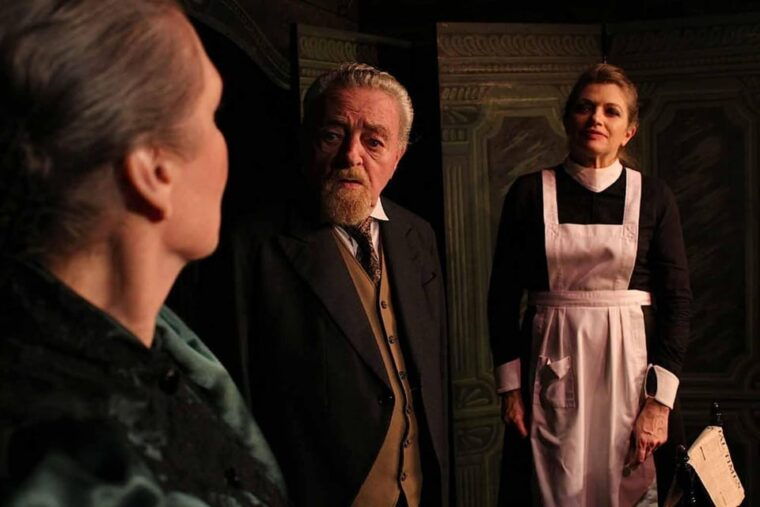 theatre-in-paris-the-bald-soprano-la-cantatrice-chauve