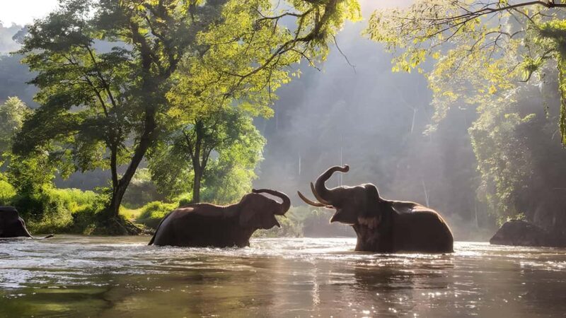 Thekkady Adventure: Off-Road Jeep Safari & Vagamon Tour - Key Points