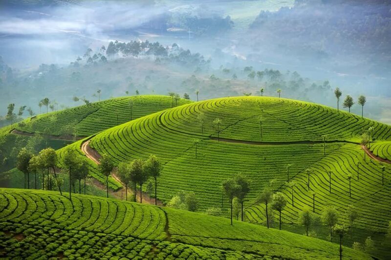 Thekkady Adventure: Off-Road Jeep Safari & Vagamon Tour - Authentic Experiences & Real Feedback