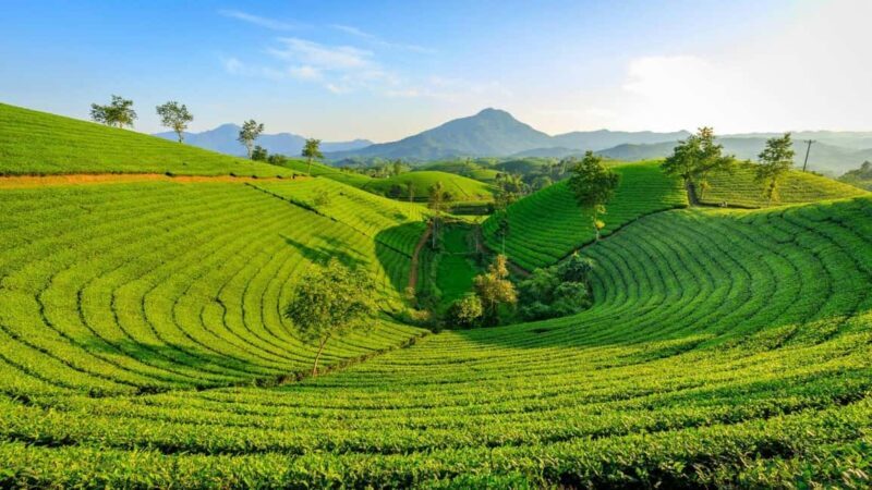 Thekkady: Vagamon Hill Station Day Trip with Breakfast - The Journey Begins: From Thekkady to Vagamon