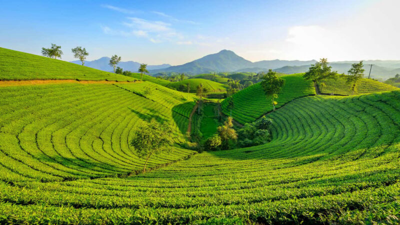 Thekkady: Vagamon Hill Station Day Trip with Breakfast - Panrunthupara Viewpoint – Eagle Rock