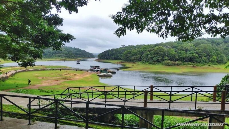 Thekkady: Vagamon Hill Station Day Trip with Breakfast - Vagamon’s Lush Meadows and Pine Forests