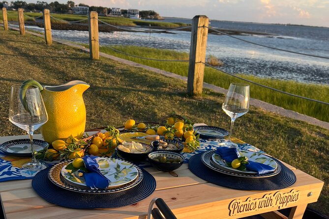 themed-luxury-picnics-in-charleston-south-carolina