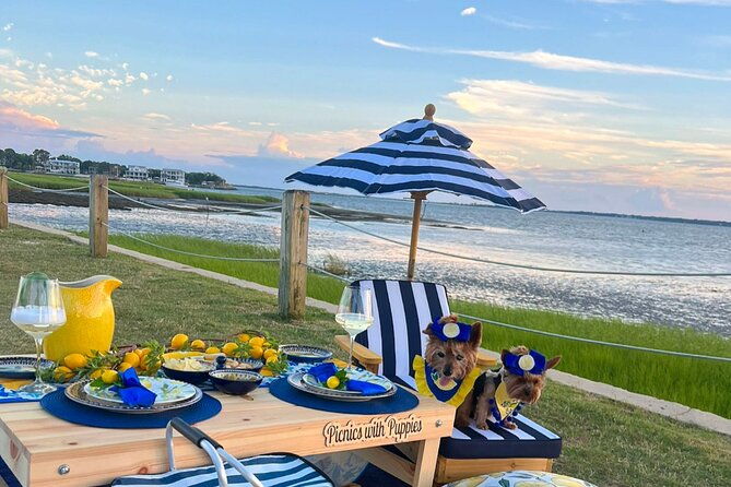themed-luxury-picnics-in-charleston-south-carolina