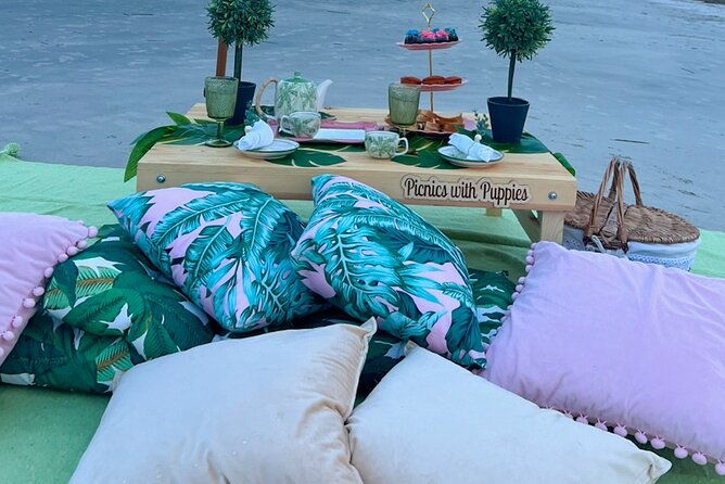themed-luxury-picnics-in-charleston-south-carolina