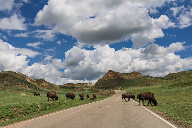 theodore-roosevelt-national-park-audio-tour-guide