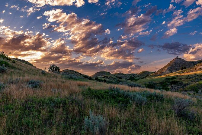 theodore-roosevelt-national-park-audio-tour-guide
