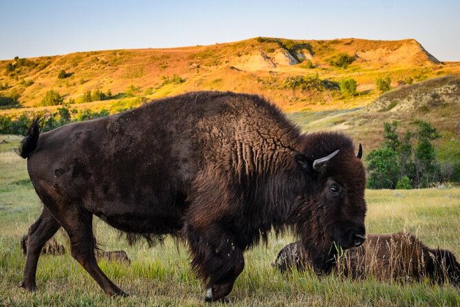 theodore-roosevelt-national-park-audio-tour-guide