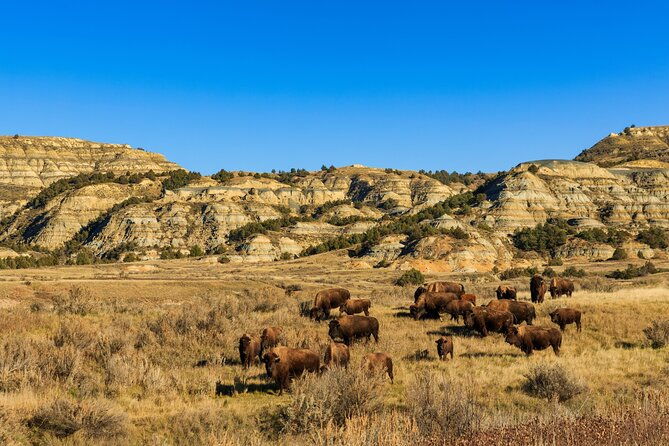 theodore-roosevelt-national-park-self-guided-driving-audio-tour