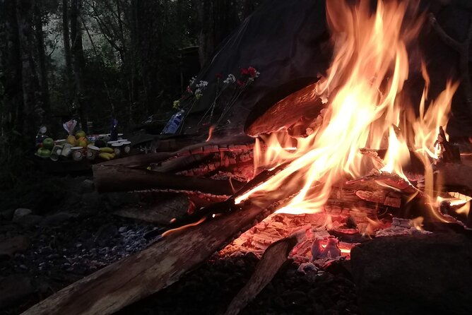 therapeutic-temazcal-harmony-and-rebirth-in-the-forest
