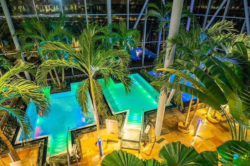 Therme:Spa Day at the biggest oasis of RelaxationBucharest - Authentic Experiences from Past Visitors