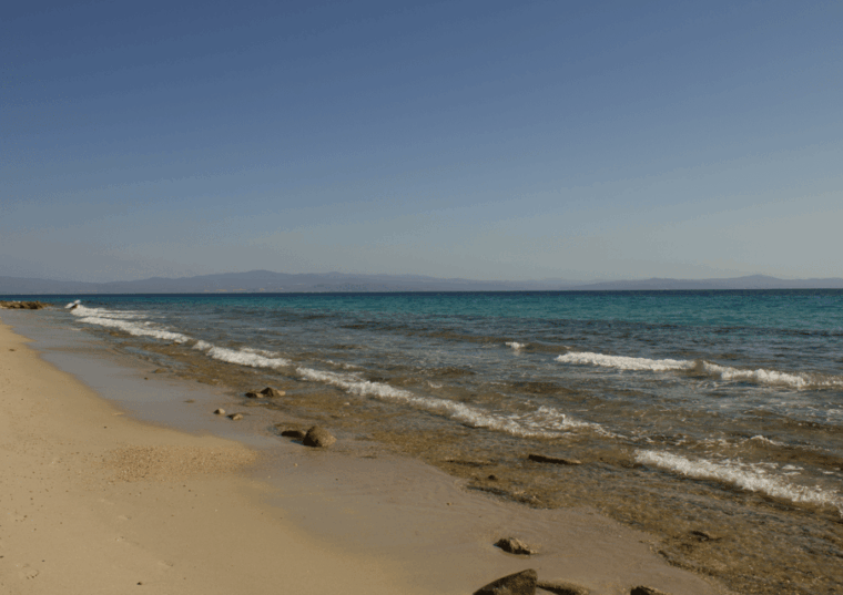 thessaloniki-day-trip-to-petralona-caveafytos-wine-tasting