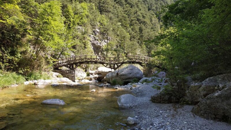 Thessaloniki: Dion, Mount Olympus, and Litochoro Village - Exploring Litochoro Village: Tradition and Tranquility