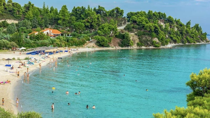 Thessaloniki: Halkidiki/Sithonia Swim, Sunset & Olive Tour - The Practicalities: What’s Included and What to Consider