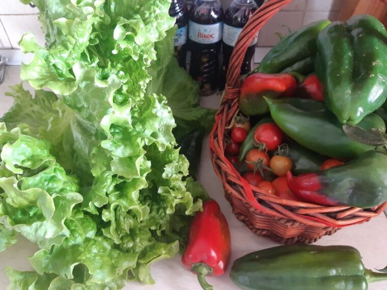 thessaloniki-private-greek-cooking-class-and-meal-at-a-farm