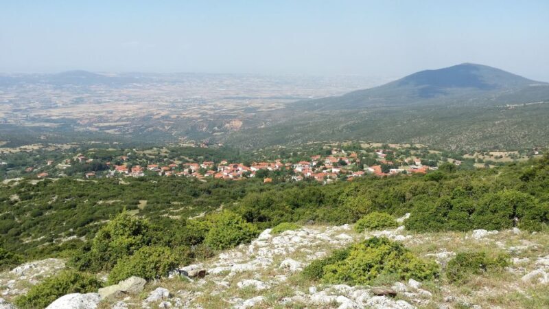 Thessaloniki: Private Mountain and Beaches SUV Safari - Why This Tour Offers Great Value