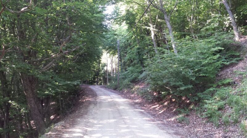 Thessaloniki: Private Mountain and Beaches SUV Safari - Who Would Love This Tour?