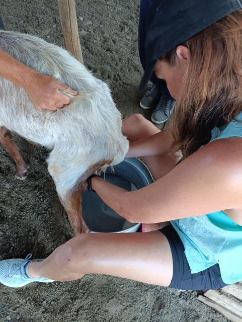 thessaloniki-visit-a-farm-and-a-traditional-village