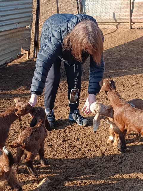 thessaloniki-visit-a-farm-and-a-traditional-village