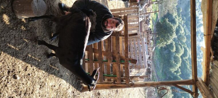 thessaloniki-visit-a-farm-and-a-traditional-village