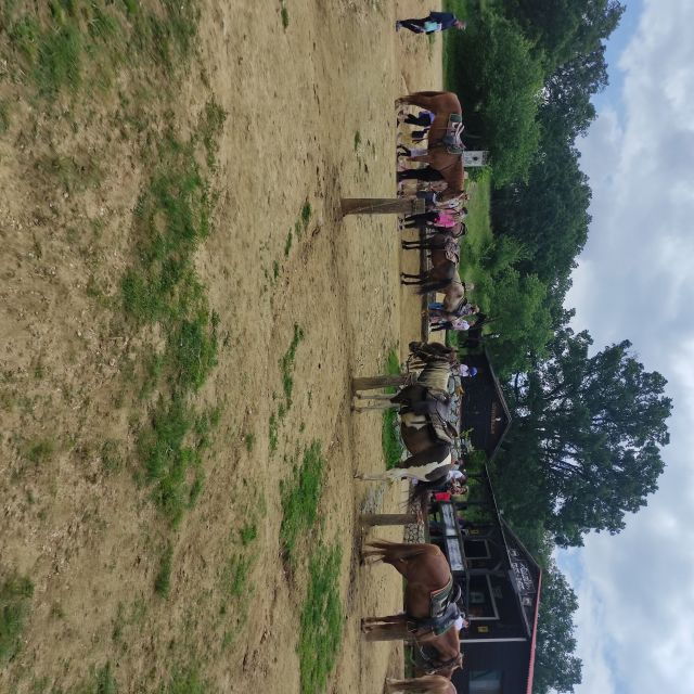 thessalonikihorse-riding-in-a-farm