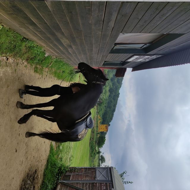 thessalonikihorse-riding-in-a-farm