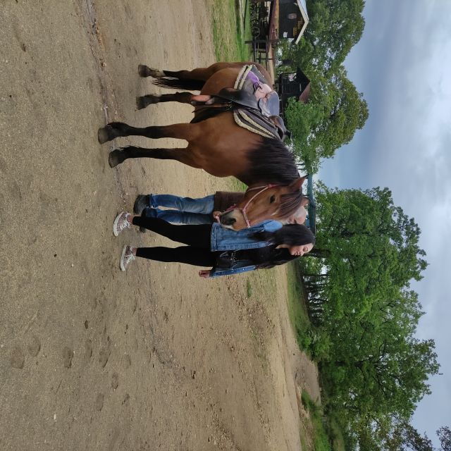 thessalonikihorse-riding-in-a-farm