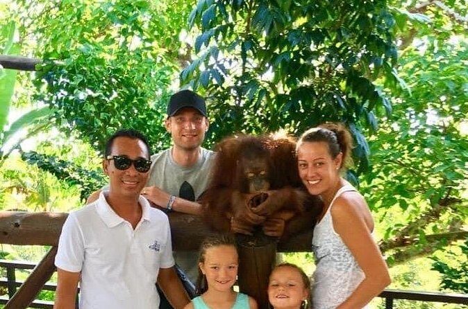 Things to do - Breakfast with Orang Utan - Practical Details and Considerations